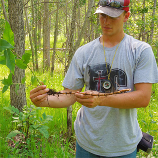 Student with a branch