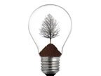 light bulb with tree in it 