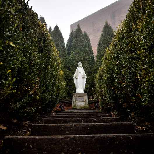 A statue of the Blessed Mother, surrounded by small trees