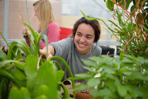 A student works in a greenhouse