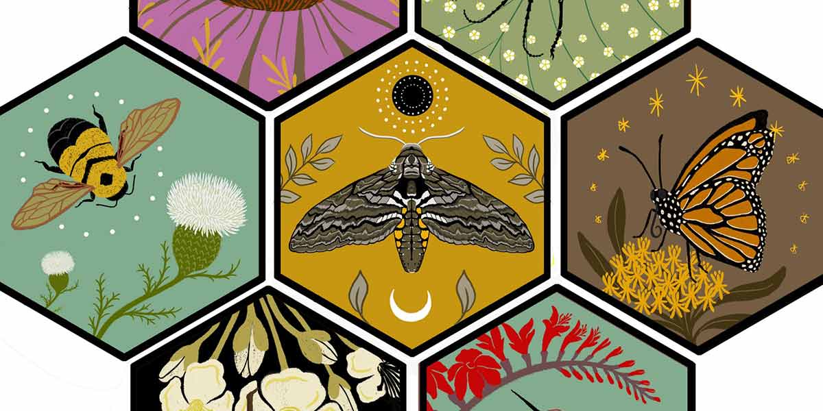 A graphic containing a collage of different insects