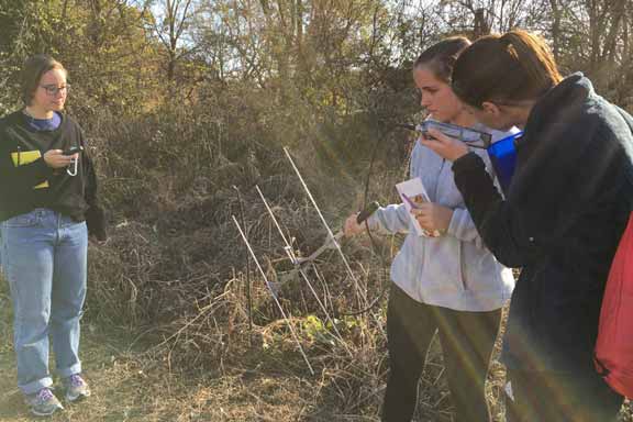 Biology students use a research instrument near a treeline
