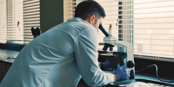 A student looks through a microscope